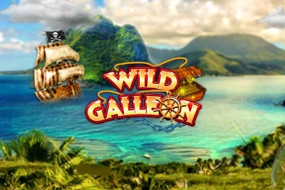 04799 wild galleon