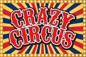 11691 crazy circus